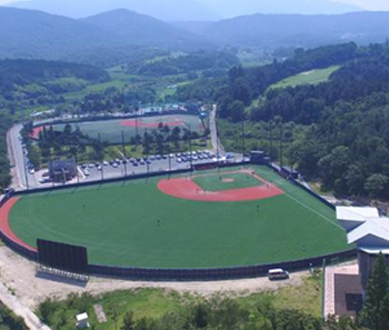 Gyeongju Baseball Park image