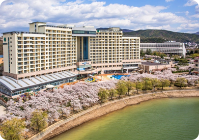 소노벨 경주